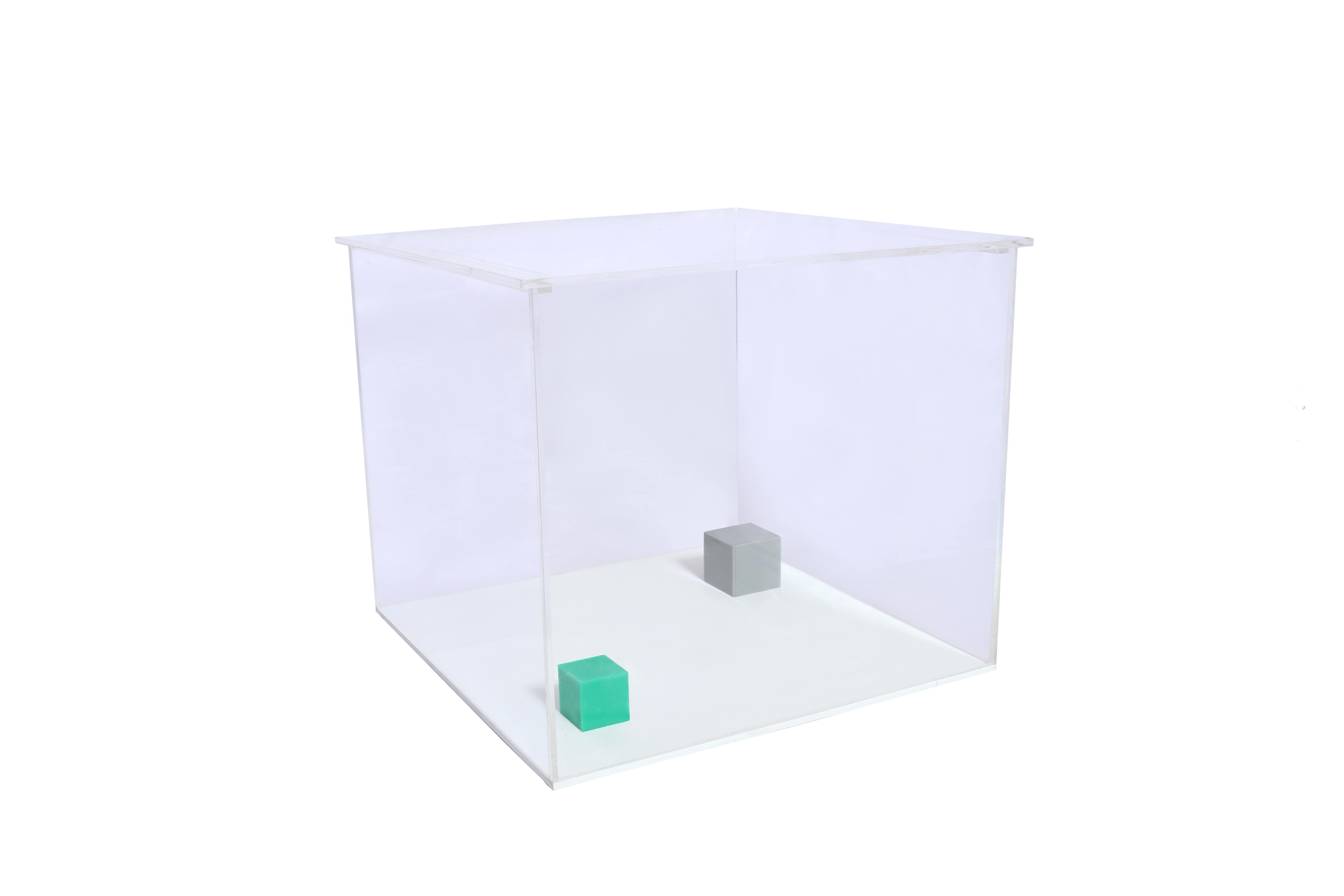 Novel-Object-Recognisation